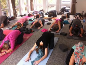 3 Tage Power, Energy und Relax Yoga Weekend Retreat, Nähe Mainz/St. Johann, Deutschland