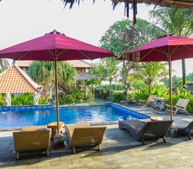 8 Day Basic Surf and Stay Camp in Jembrana, Bali, Indonesia - Photo 2