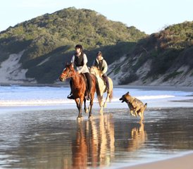 5 jours vacances équestres Tom and Tori Horse and Heart sur la Wild Coast, Afrique du Sud - Photo 2
