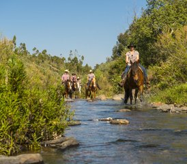 108 Tage Fortgeschrittener Reiturlaub an der Algarve, Portugal - Photo 1