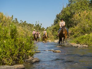 8 Day Advanced Horse Riding Holiday in Algarve, Portugal