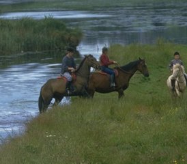 14 Day Horse Riding and English Summer Camp for Kids (11 - 17 Years Old) in Cork, Ireland - Photo 4