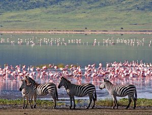 2 Day Camping Safari in Tarangire and Ngorongoro Crater, Tanzania