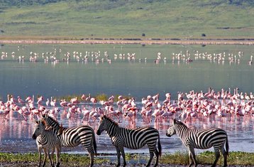 2 días de safari de acampada en Tarangire y el cráter del Ngorongoro, Tanzania