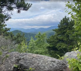 4 Daagse Geworteld En Wild Vrouwen Yoga Retreat In De Buurt Van Asheville, NC, VS  - Photo 2