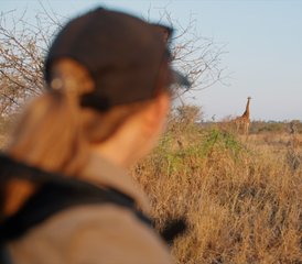 9 Día Safari de Senderismo y Conservación en el Gran Parque Nacional Kruger Solo para Mujeres - Photo 4
