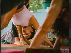 26 Day 200-Hour TTC Vinyasa, Hatha Yoga Designing Transformative Yoga Classes in Kerala, India
