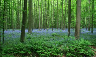 Flemish Brabant Retraites et Voyages