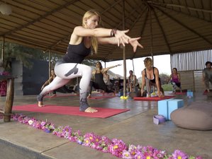 14 Day Yoga Retreat in Canacona, Goa