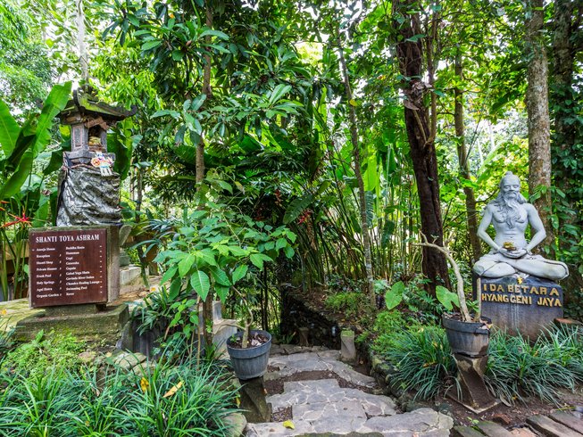 8 Days Wellness Yoga Retreat in Bali, Indonesia - BookYogaRetreats.com