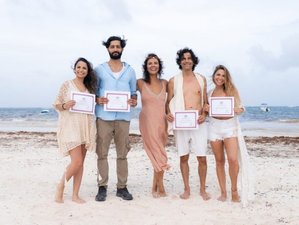10  Day 200-Hour Fi̇tflowyoga Yoga Teacher Trai̇ni̇ng in Cozumel, Quintana Roo, Mexico