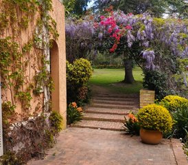 7 días de retiro para recuperarte del agotamiento con yoga, atención plena y más en Knysna, Sudáfrica - Photo 3