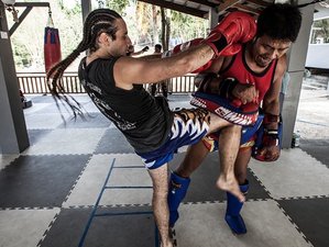 2 Week Muay Thai, Fitness, and 10th Planet Jiu-Jitsu Camp for All Levels in Koh Tao, Surat Thani
