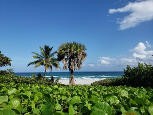 8 Tage Abschalten um Wieder zu Verbinden Yoga Retreat in Boca Raton, Florida