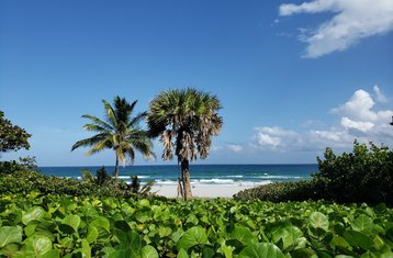 8 Day Disconnect to Reconnect Mind and Body Wellness Retreat in Boca Raton, Florida, USA