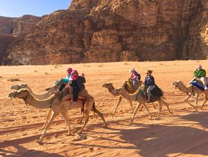 10 Day All-inclusive Private Adventure Tour in Jordan with Camel Trekking