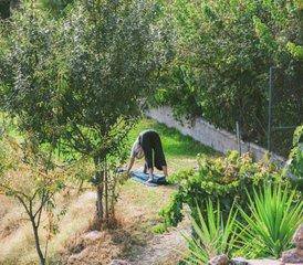 5-Daagse Belichaamde Yoga Retreat - Ontspan en Ontdek de Heilige Berg van Las Alpujarras, Spanje - Photo 4