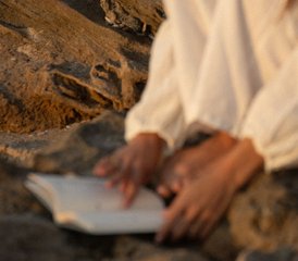 6-Daagse Inner Harvest: Slow Living Yoga Retreat op Evia, Griekenland - Photo 4