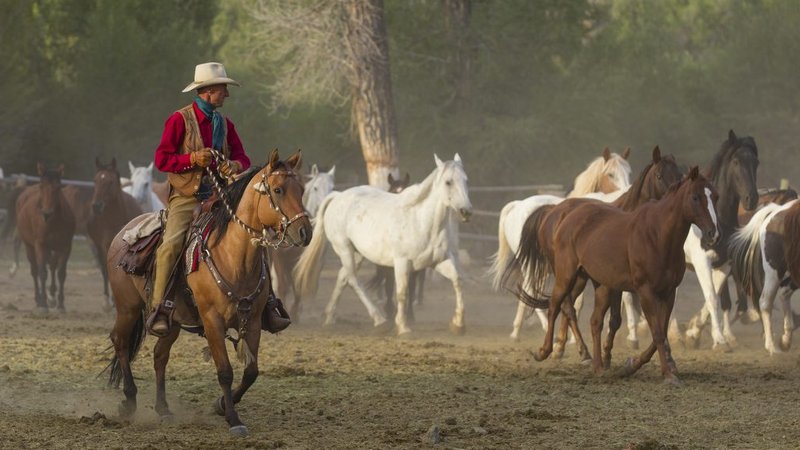7 Day True Wild West Dude Ranch Vacation in Dubois, Wyoming