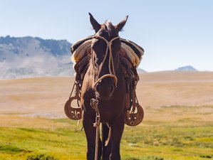 5-Day Andes Crossing: Authentic Horseback Expedition in Argentina