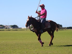 6 Day Learn Polo in Argentina's Countryside Parque Camet, Mar del Plata