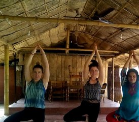 08 Day Beachside Wellness Retreat with Ayurveda, Yoga, and Zen Meditation in Alleppey, Kerala, India - Photo 1