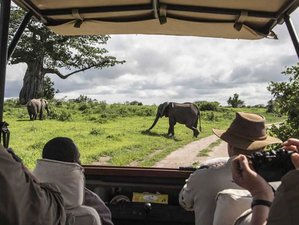 9 Day Road Package - Kenya Magical Experience Safari Tour