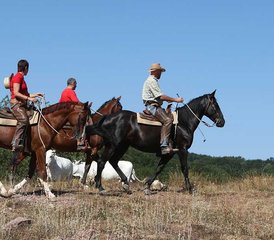8 Day Working Ranch Week Horse Riding Holiday in Castell'Azzara, Tuscany, Italy - Photo 2