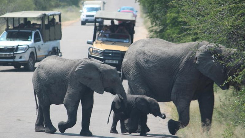 3 Days Best of Kruger National Park Classic Big Five Safari in South Africa