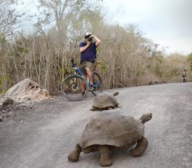 13 días de lujo en las Galápagos con crucero e islas, Ecuador - Photo 4