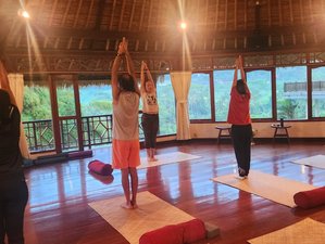 6 Day Finding Purpose in Paradise: Personal Mastery Retreat in Bali​, Indonesia