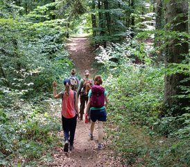 14 Tage Yoga Retreat mit Fortgeschrittener Asana und Gehmeditation in Champagne-Ardenne, Frankreich - Photo 5