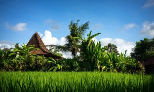 Penestanan Retreats & Trips