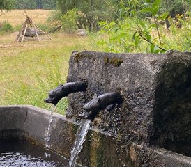 4 Tage Yogastage, Spaziergänge auf den Wanderwegen und veganes Essen in Auvergne, Frankreich - Photo 5