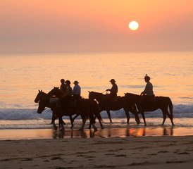 4 Day Horse Riding Weekend in the Landes, France - Photo 4