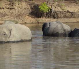 10-Daagse Geschiedenis-, Erfgoed- en Wildlife-safari in Noord-, Midden- en Zuid-Ghana - Photo 3