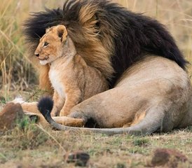 67 Day Private Safari the Best of Tanzania With Sustainable Approach to Travel - Photo 1