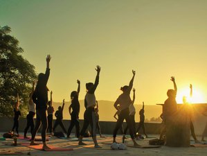 26 Tage 300-Stunden Intensive Hatha-, Ashtanga- und Vinyasa-Yogalehrerausbildung in Rishikesh, Indien