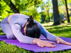 50-Hour Online Somatic Yoga Teacher Training Certificate Course