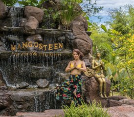 8-Daagse 'Pure Mangosteen' Yoga Retreat in Rawai, Phuket, Thailand - Photo 5