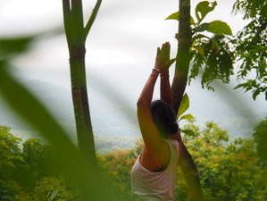 8 Day Return to Innocence Yoga Retreat with Energy Work and Somatic Therapy in Pai, Mae Hong Son