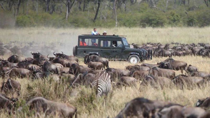 8 Tage Ugandische Safari: Kibale-, Queen-Elizabeth-, Bwindi-Impenetrable- und Lake-Mburo-Nationalparks