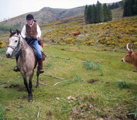 118 Day Adventurous Wild Horse Riding Tour in Alto Minho, Northern Portugal - Photo 1