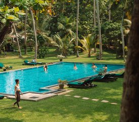 8 Day Holistic Wellness Retreat in Talalla, South Sri Lanka - Photo 2