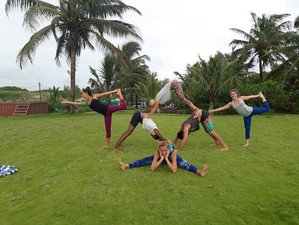 6 Day Juice Detox and Yoga Retreat in Goa, India