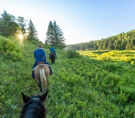 47 Tage Broncobuster Paket Geführter Trail Reiturlaub in Rossburn, Manitoba, Kanada - Photo 1