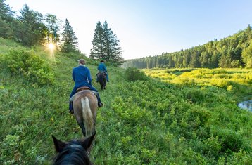 7 Tage Broncobuster Paket Geführter Trail Reiturlaub in Rossburn, Manitoba, Kanada