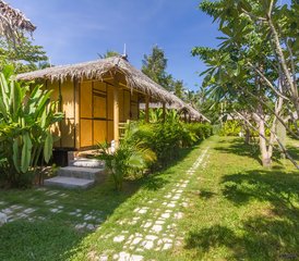 15 Day Somatic Reset Retreat in Koh Phangan, Thailand - Photo 5