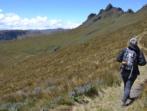 6 Day Northern Andes Hike in Ecuador