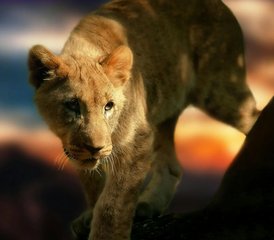 6 Day The Great Migration Calving Season Safari in Tarangire, Ndutu Plains, and More in Tanzania - Photo 3